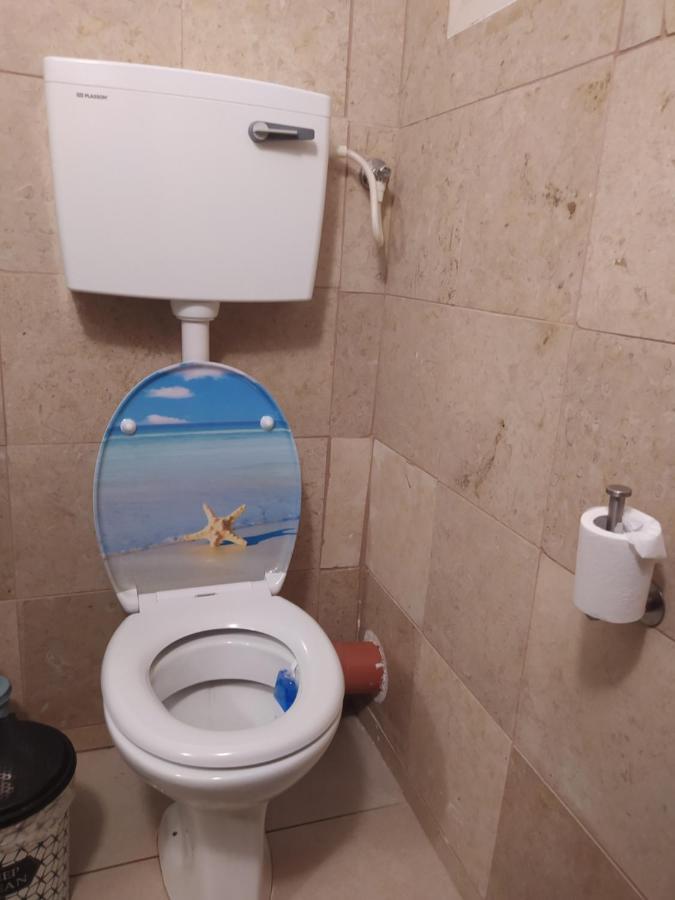 Appartement אצלנו בקיבוץ à Amir Extérieur photo